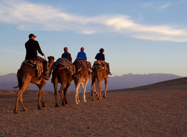 day trips from marrakech