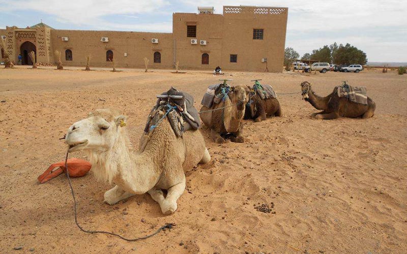 merzouga desert