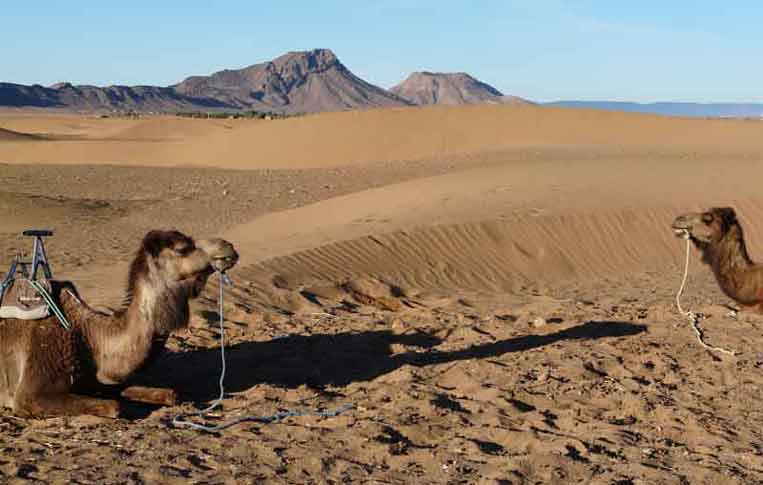 Zagora Desert Tour